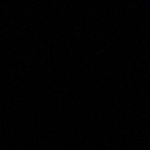 Meet your Posher, Carina